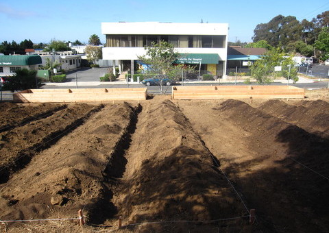Community Garden