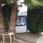 BEFORE - Overgrown trees block the community bulletin board, rusty grate, trash and litter strewn everywhere.